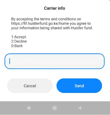 Accept the Hustler Fund terms and conditions under https://fif.hustlerfund.go.ke/home