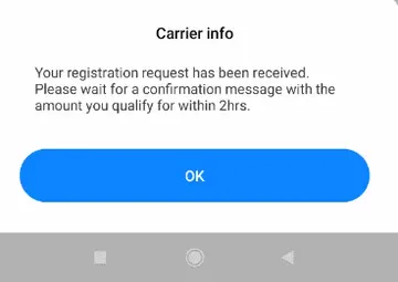 You will receive an SMS confirming successful registration. Hustler Fund loans are at an interest rate of 8 per cent