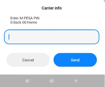 Enter the PIN for your Mobile Money account i.e. MPESA or Airtel Money or TKASH