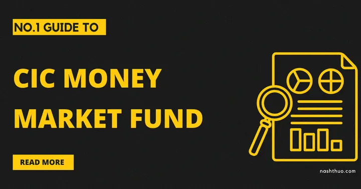 No.1 Guide to CIC Money Market Fund